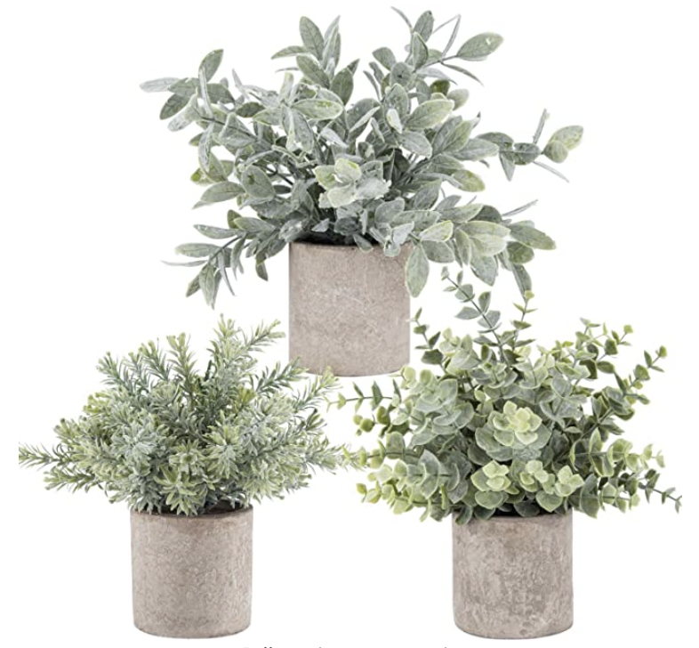 artificial plants from amazon